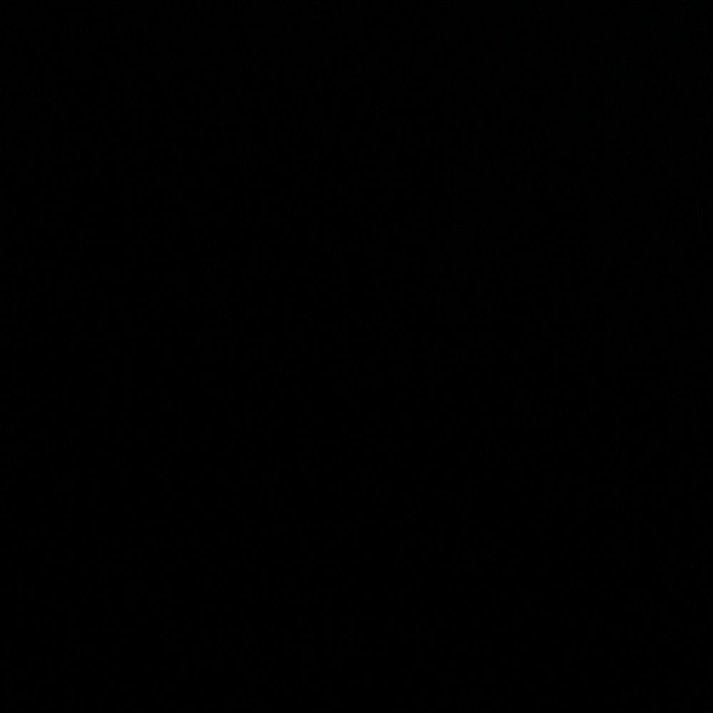 Blank